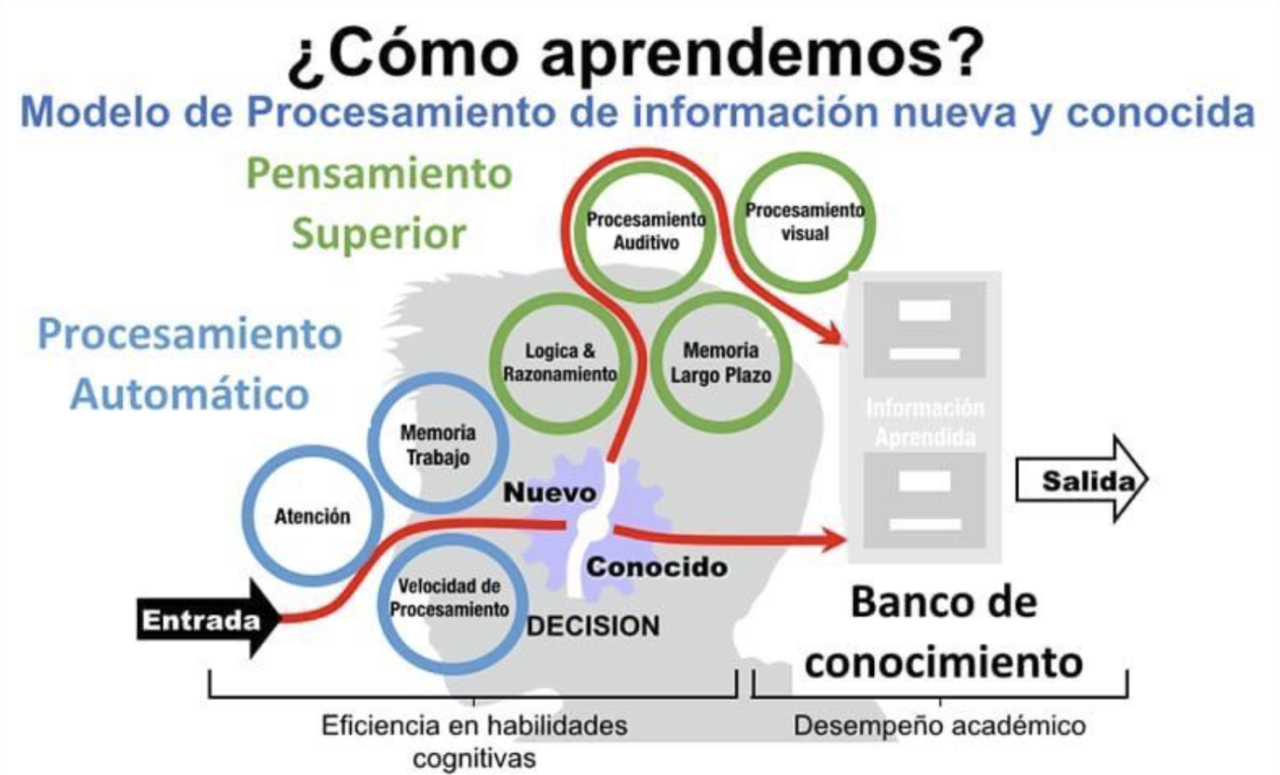 Brain Rx - Entrenamiento Cognitivo | Fortalece tus habilidades mentales